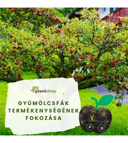Gyümölcsfák termékenységének fokozása