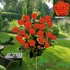 Kép 1/2 - Orange