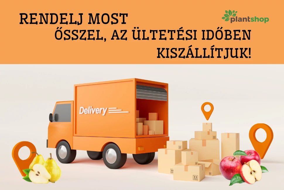 Őszi kiszállítás