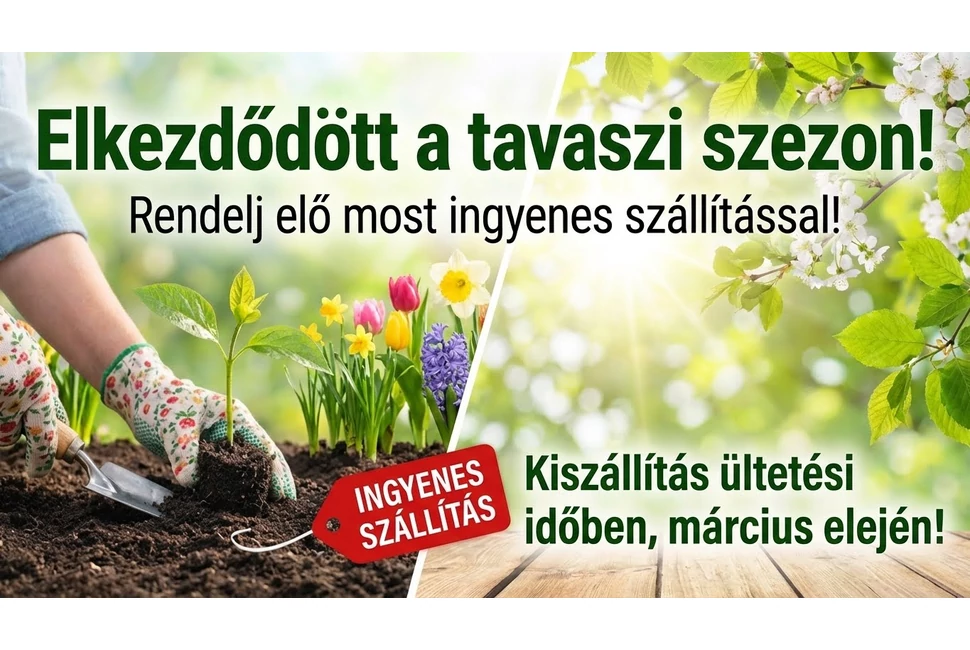 Őszi kiszállítás